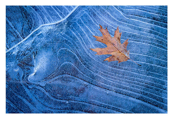 IcePond_122110_16_web.jpg