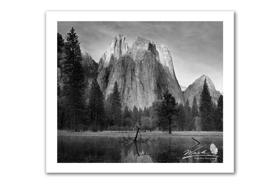 Yosemite Valley_BW_Website.jpg
