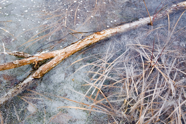 Ice Pond - web.jpg