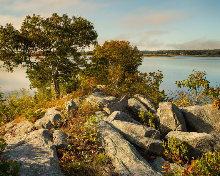 #17 "Morning at Lord Cove"
Old Lyme CT