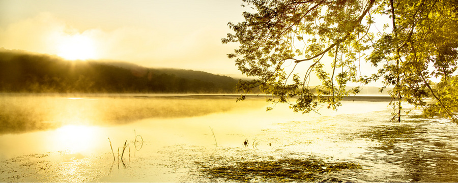 #9 "Golden Sunrise"
The CT River at Haddam Meadows