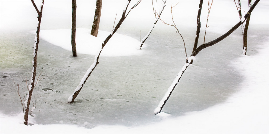 #23 Why Winter?"
Afrozen vernal pond in Winter woodlands