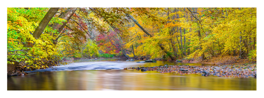 #18 Autumn on the Quinnipiac River, South Meriden CT