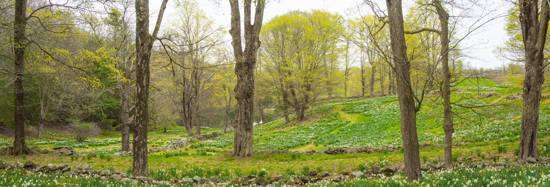 CT_Ltchfld_LaurelRidge_2017April29_002-Pano.jpg