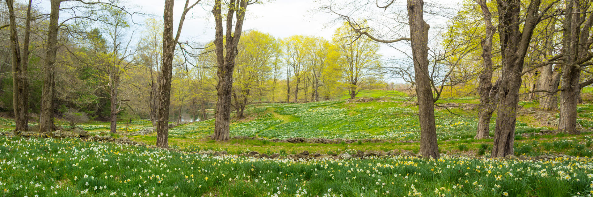 CT_Ltchfld_LaurelRidge_2017April29_728-Pano.jpg