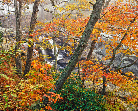 #16 Autumn at Chapman Falls"
Devils Hopyard State Park